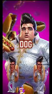 You ain't nothing but a hound dog